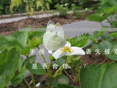 手機(jī)丟失被索要保管費(fèi)是否合理？